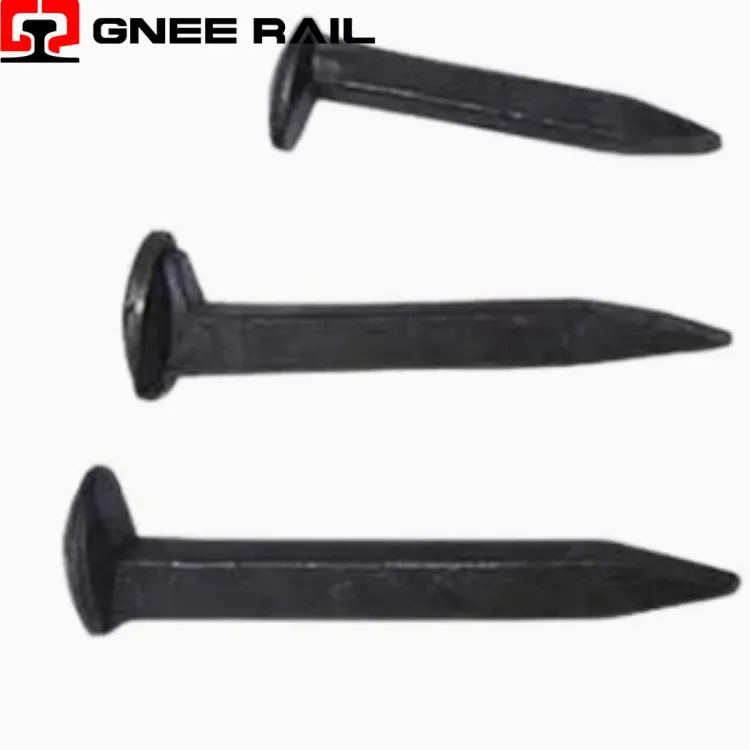 Acessórios para cães de trilha