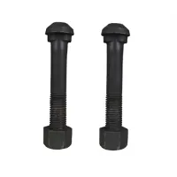 Q235 parafuso de trilha de pescoço de diamante